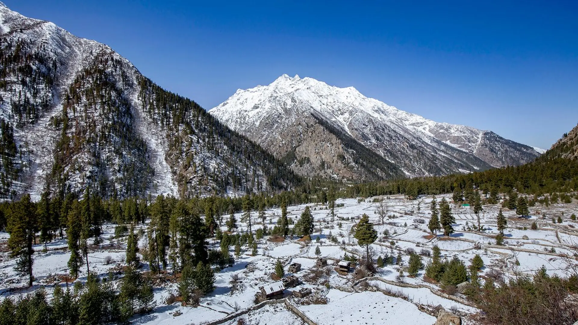 Sangla Valley: The Hidden Gem of Himachal You Must Visit