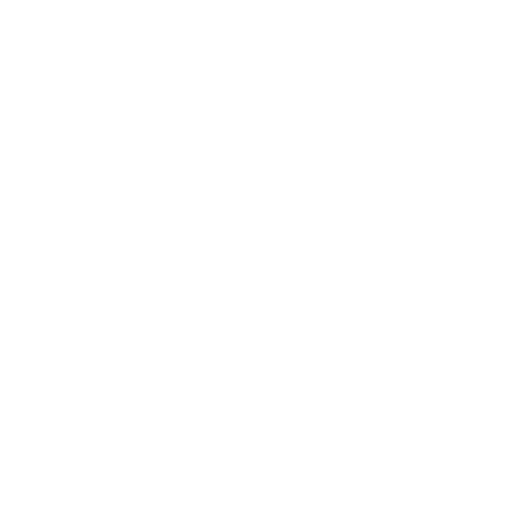 Travelers